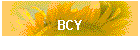 BCY